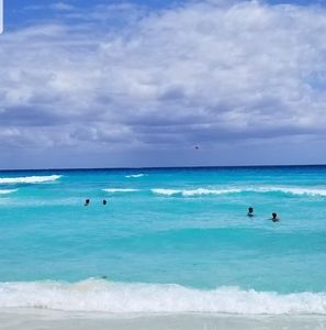 Meet your Posher, Shaun